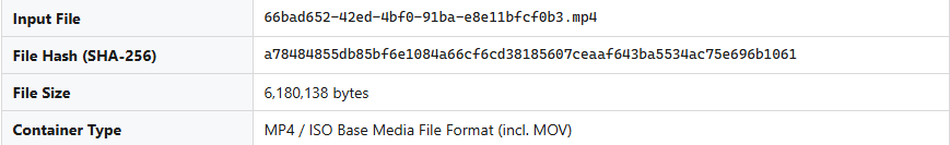 Case Information section showing SHA-256 hash, tool version, file size, and container type